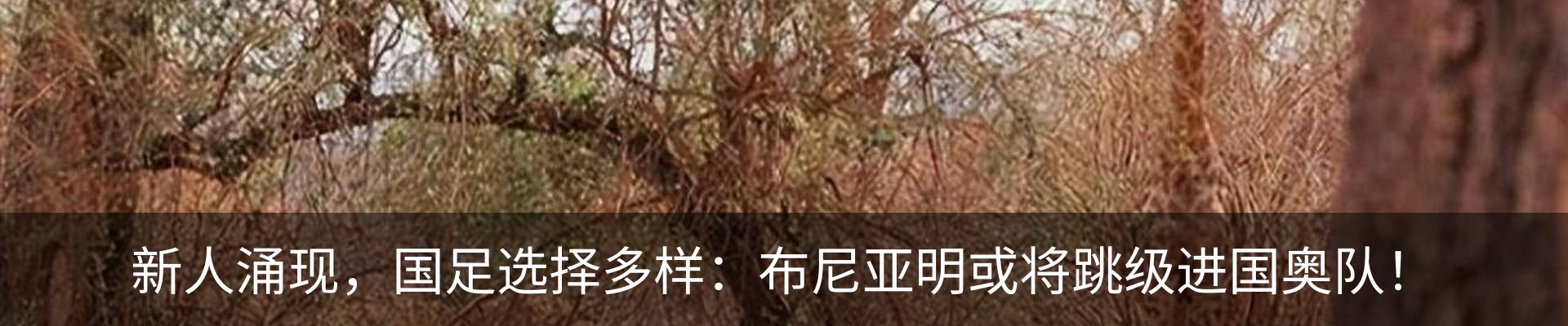 资讯中心