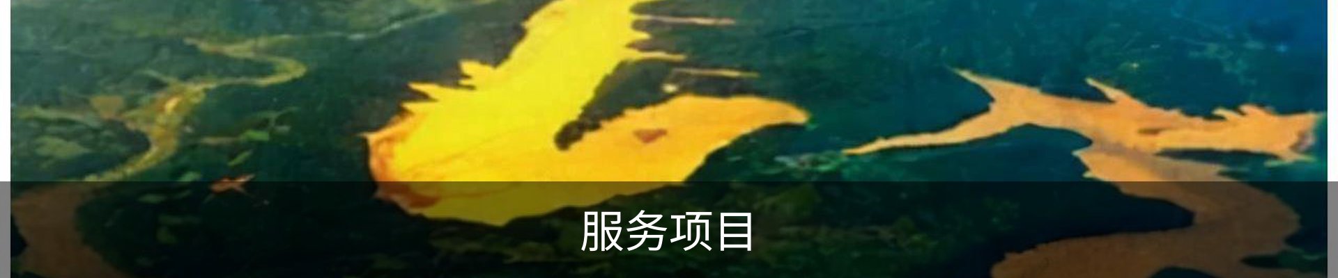 服务项目
