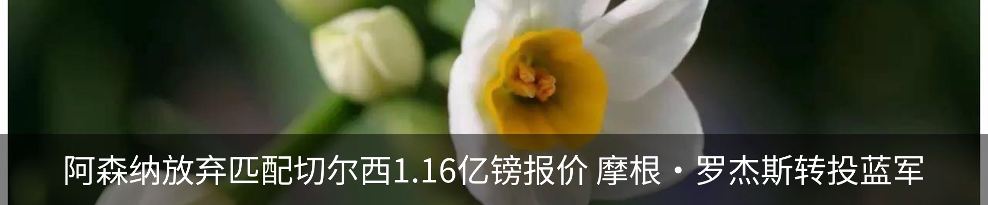 资讯中心