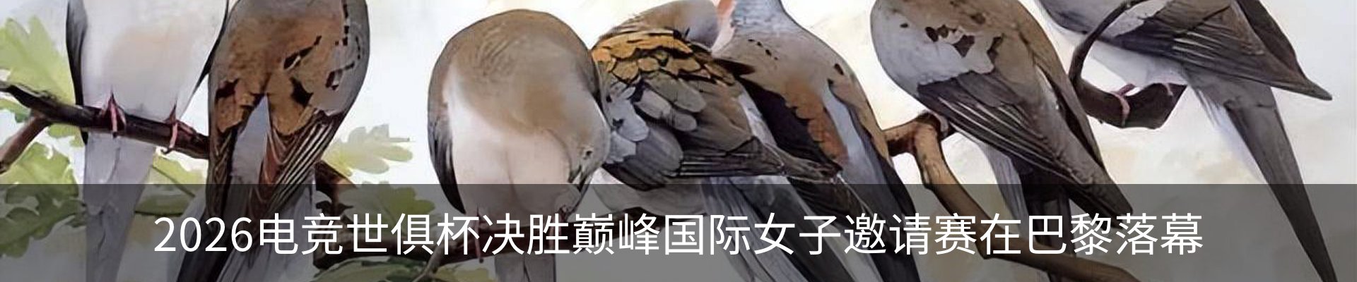 资讯中心