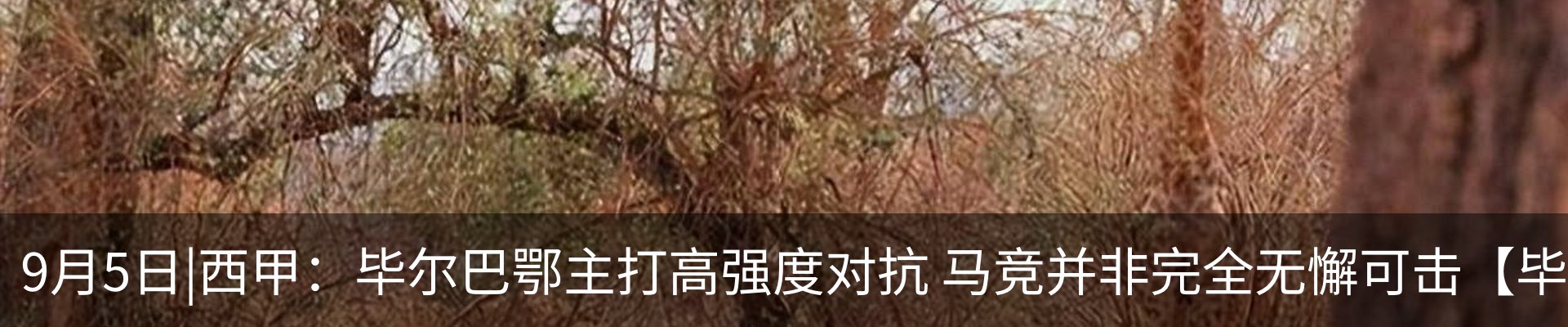 资讯中心